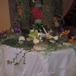 Turtle & Ocean Cake with a hidden fountain