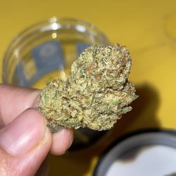 Good Tree - Indica flower