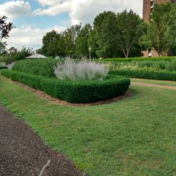 Sunken Garden