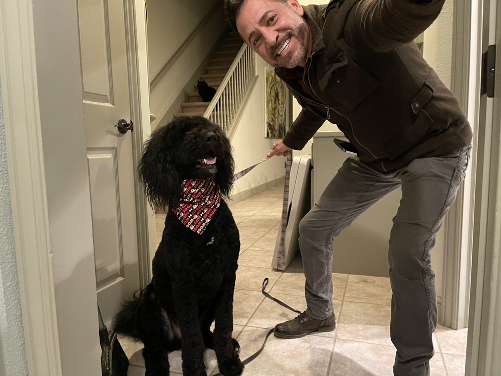 JOHN’S PET GROOMING Updated August 2024 39 Photos & 62 Reviews 9353 Greenback Ln