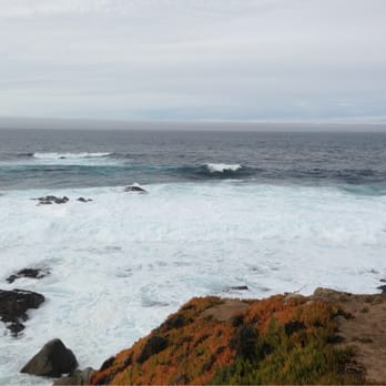 Garrapata State Park - Hiking Near Me