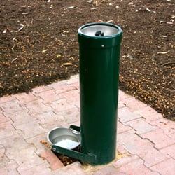 Henry Codd Reserve
