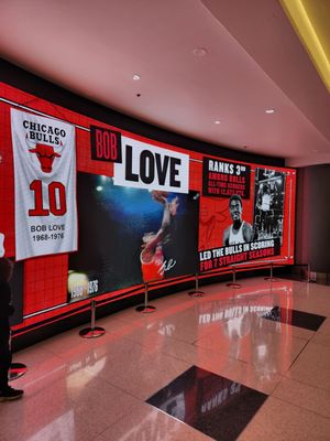 UNITED CENTER - Updated January 2026 - 6607 Photos & 714 Reviews - 1901