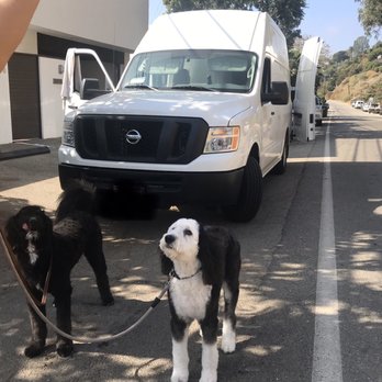 splish splash mobile pet grooming