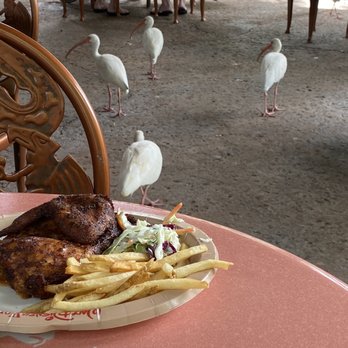 Flame Tree Barbecue - They enjoy fries and will gently take it from your hand - Barbeque Near Me - Lake Buena Vista, Florida Flame Tree Barbecue - They enjoy fries and will gently take it from your hand - Barbeque Near Me - Lake Buena Vista, Florida