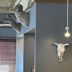 Buffalo Bobs Restaurant