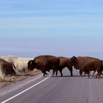 Antelope Island State Park - Hiking Near Me - Syracuse, Utah Antelope Island State Park - Hiking Near Me - Syracuse, Utah