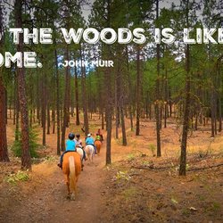 True West Trail Rides