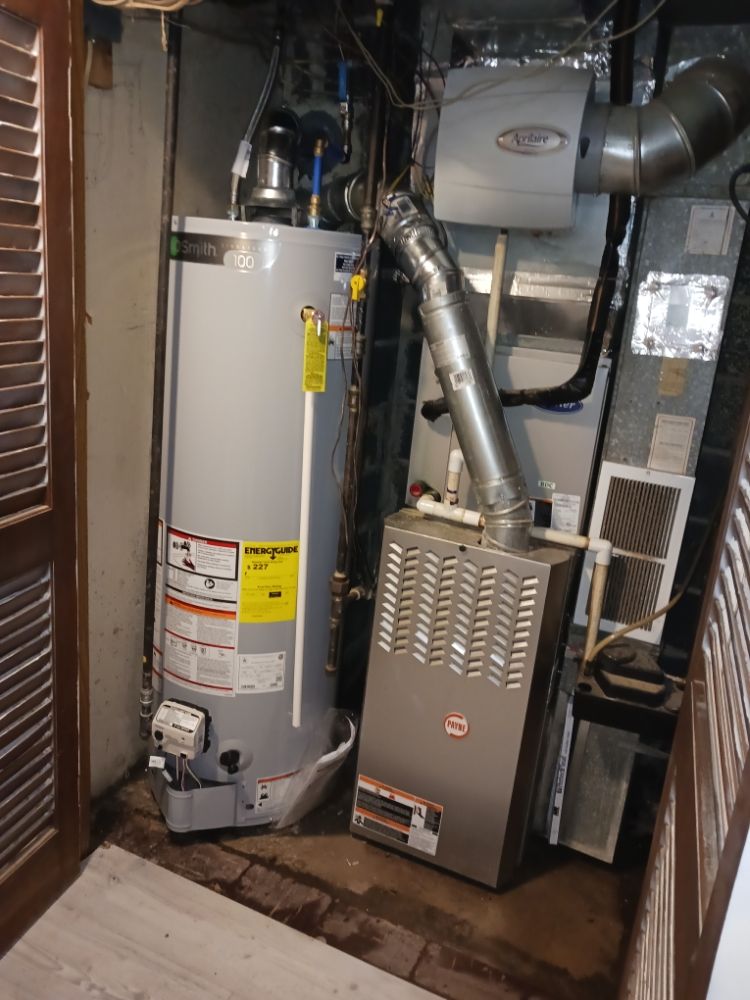 Slide of Jenalia Mechanical