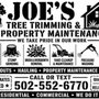 Joe’s Tree