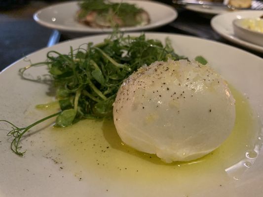 Noble Rot Lamb's Conduit by null
