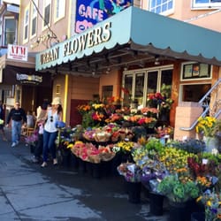 Urban Flowers