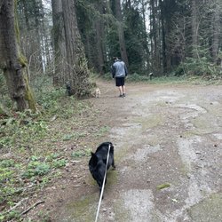 Forest Ridge Park