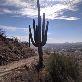 Sonoran Preserve - Hiking Near Me - Phoenix, Arizona