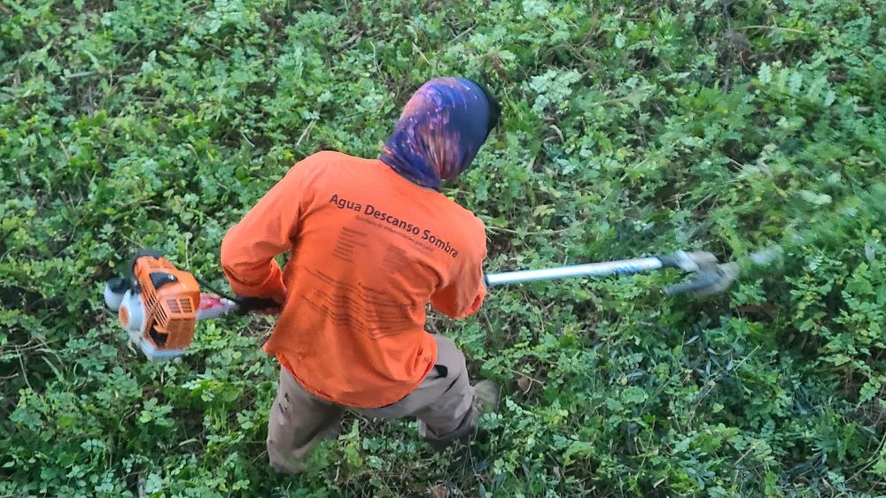 HUNTER LANDSCAPE Updated October 2024 711 Fee Ana St, Placentia