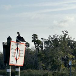 Hunter Springs Kayaks & Tours