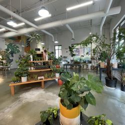 A Pot To Plant In