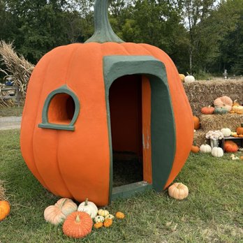 Dalton Farms - Attraction Farms Near Me - Logan Township, New Jersey Dalton Farms - Attraction Farms Near Me - Logan Township, New Jersey
