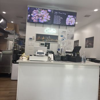 Stella's - Burgers Near Me - Fort Lauderdale, Florida Stella's - Burgers Near Me - Fort Lauderdale, Florida