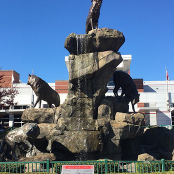 Carter-Finley Stadium - Wolfpack Statue - Stadiums & Arenas Near Me - Raleigh, North Carolina