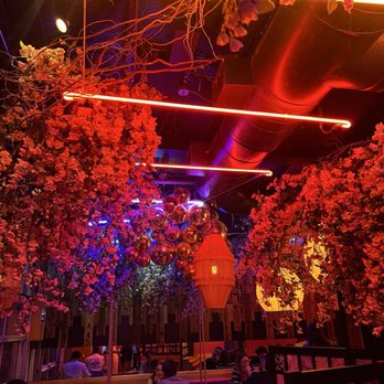 Lucky Robot Restaurant - Sushi Bars Near Me - Austin, Texas Lucky Robot Restaurant - Sushi Bars Near Me - Austin, Texas