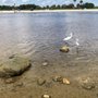 Photo of Sebastian Inlet State Recreation Area