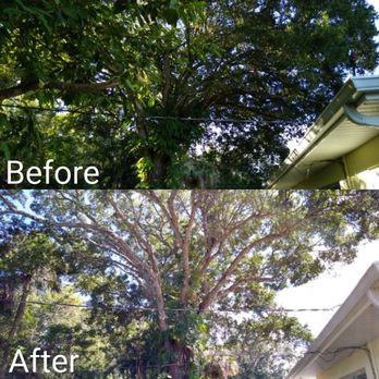 John Michaels Tree Services - *Oak tree trimming - Tree Services Near Me - Fort Pierce, Florida