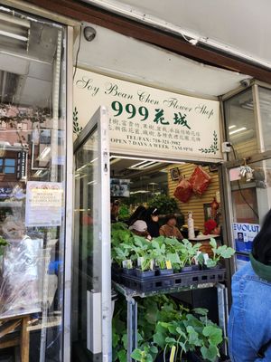 Soy Bean Chan Flower & Gift Shop by null