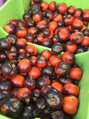Sellwood Moreland Farmers Market by null