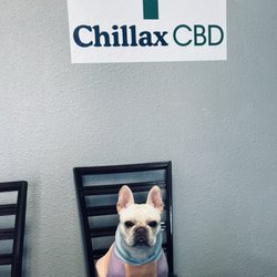 Come meet CC