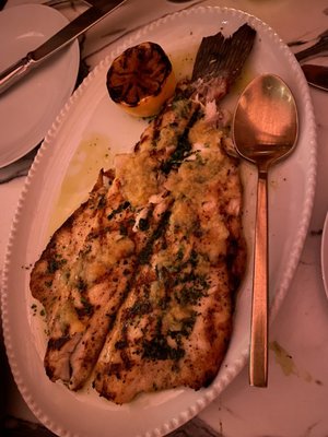 Olivetta by null Olivetta by null