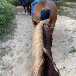 Equine Adventures - On the trail getting close to the beach