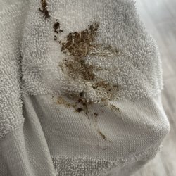 Prime Appliance - Dirt wiped away after cleaning