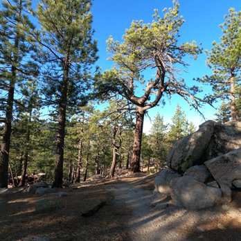 Winston Peak - Hiking Near Me - Pearblossom, California