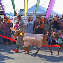 Port Townsend Farmers Market