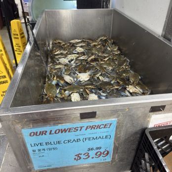 H Mart - Doraville - Grocery Near Me - Doraville, Georgia