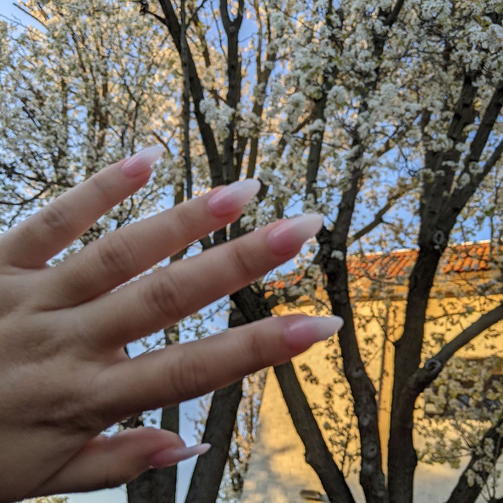 Harmony Nail Spa - Nail Salons Near Me - Sacramento, California Harmony Nail Spa - Nail Salons Near Me - Sacramento, California