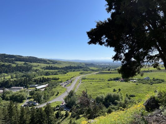 College M Trailhead and Picnic Area by null