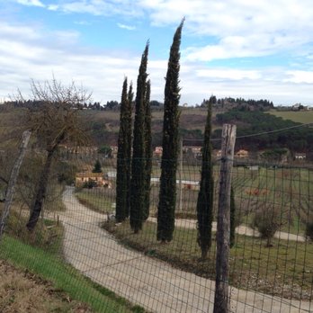 Tuscan Wine Tours - Wine Tours Near Me - Florence, FI