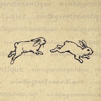 Exposed Temptations Tattoo - reference photo. note the ears, legs, whiskers, fur - Tattoo Near Me - Manassas, Virginia