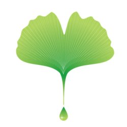 Eco Element Landscaping - Eco Element Landscaping
