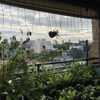 Stone House Bed and Breakfast - Best rooftop view in Quezon City is from the Stone House! - Hotels Near Me - Quezon City, NCR