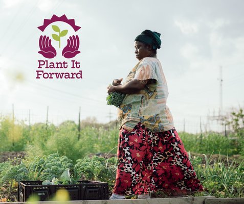 Plant It Forward Warehouse by null