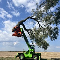 Warrensburg Tree Care