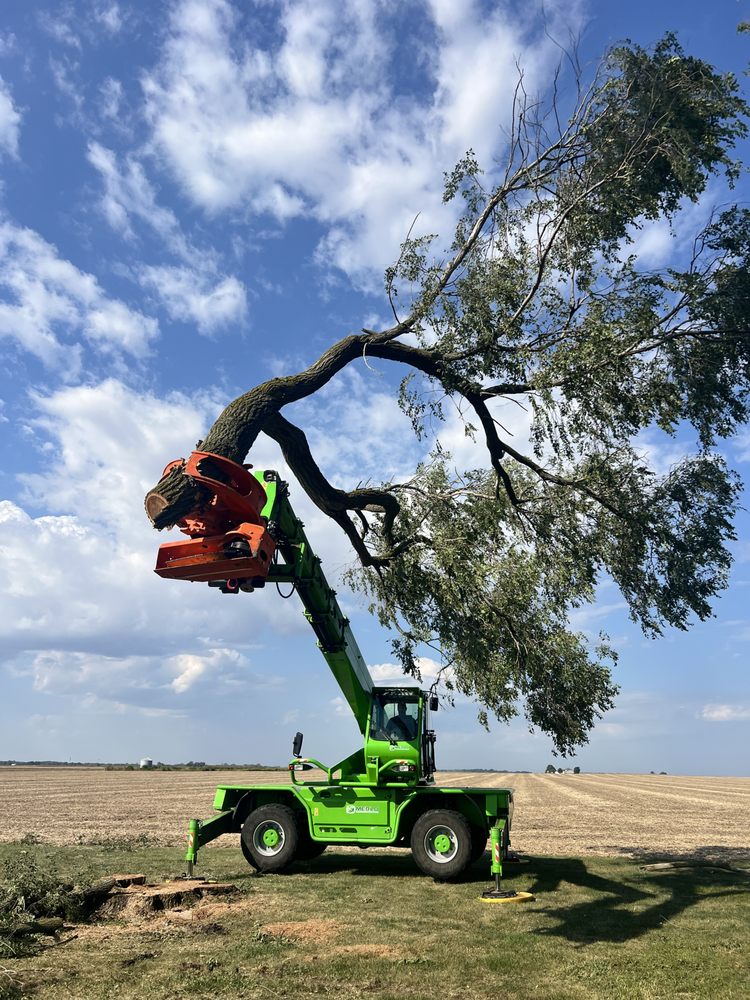 Warrensburg Tree Care - tree service in Warrensburg, IL