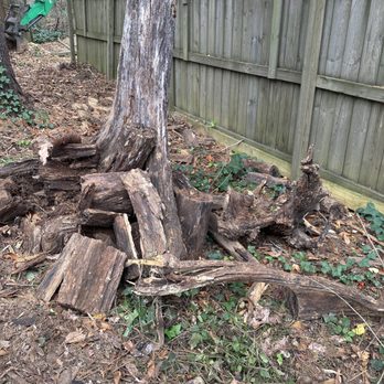 Nick's Landscaping & More - requested removal of numerous large tree stumps - Landscaping Near Me - Hendersonville, North Carolina Nick's Landscaping & More - requested removal of numerous large tree stumps - Landscaping Near Me - Hendersonville, North Carolina