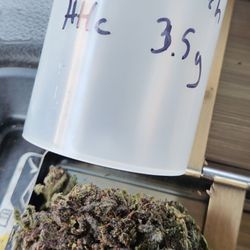 Ignite Dispensary - Bismarck - Purple Punch 3.5g HHC flower