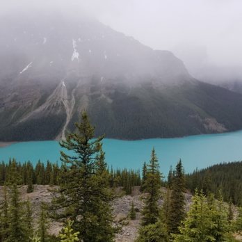 Peyto Lake - Overlooking Peyto Lake - Lakes Near Me - Banff, Alberta Peyto Lake - Overlooking Peyto Lake - Lakes Near Me - Banff, Alberta
