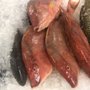 TD Seafood Market