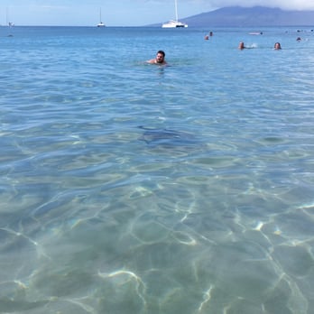 Black Rock Beach - You see the turtle? They swim right up to you! - Beaches Near Me - Lahaina, Hawaii Black Rock Beach - You see the turtle? They swim right up to you! - Beaches Near Me - Lahaina, Hawaii